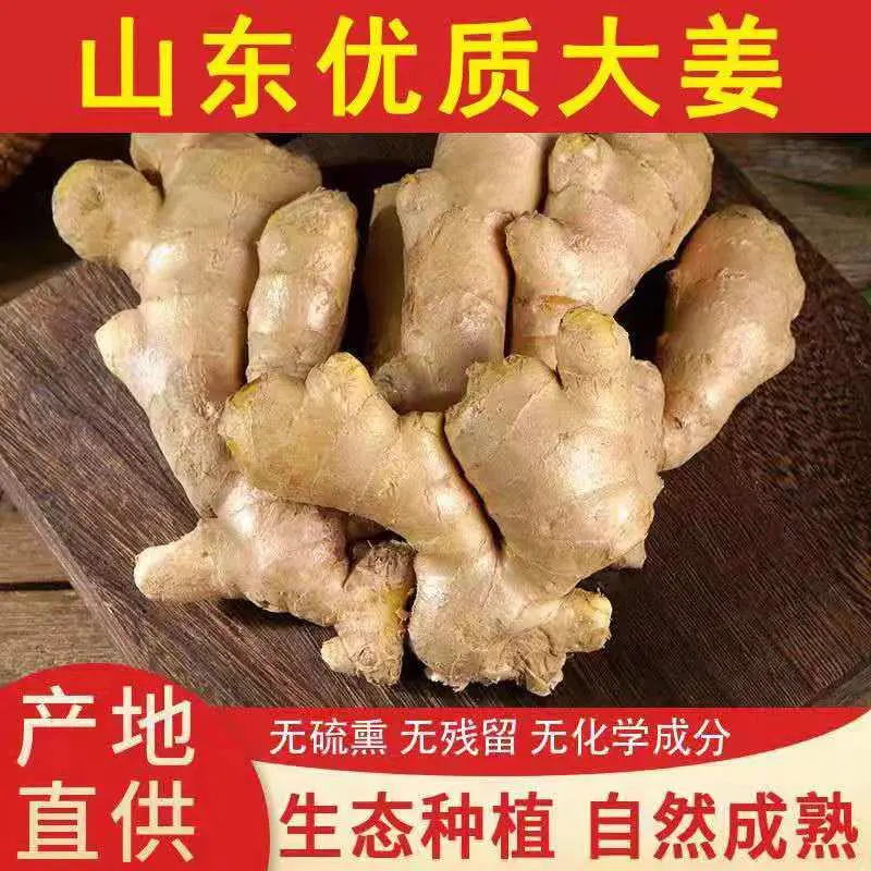 【精品】25年鲜大黄姜产地大降价【电商货直供/一手货源】