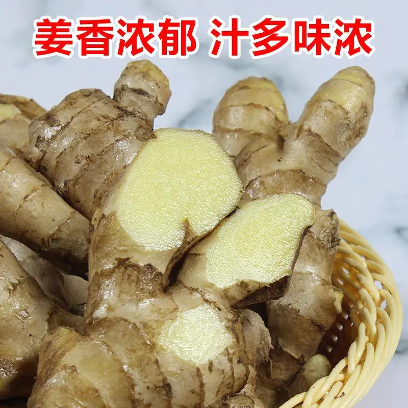 【精品】25年鲜大黄姜产地大降价【电商货直供/一手货源】