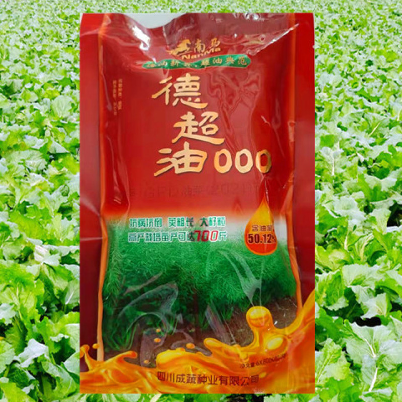 油菜种子德超油000高产抗病高油矮杆抗倒伏易机收优质杂交