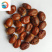 荔枝核荔枝核新货颜色好产地广西保建药业荔枝核
