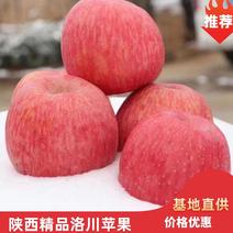 陕西精品洛川苹果，皮薄汁多，所售苹果分为条红和片红。