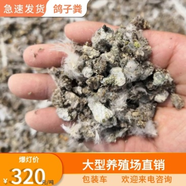 鸽子粪有机肥料，大型养殖基地直供，包装车，欢迎考察！