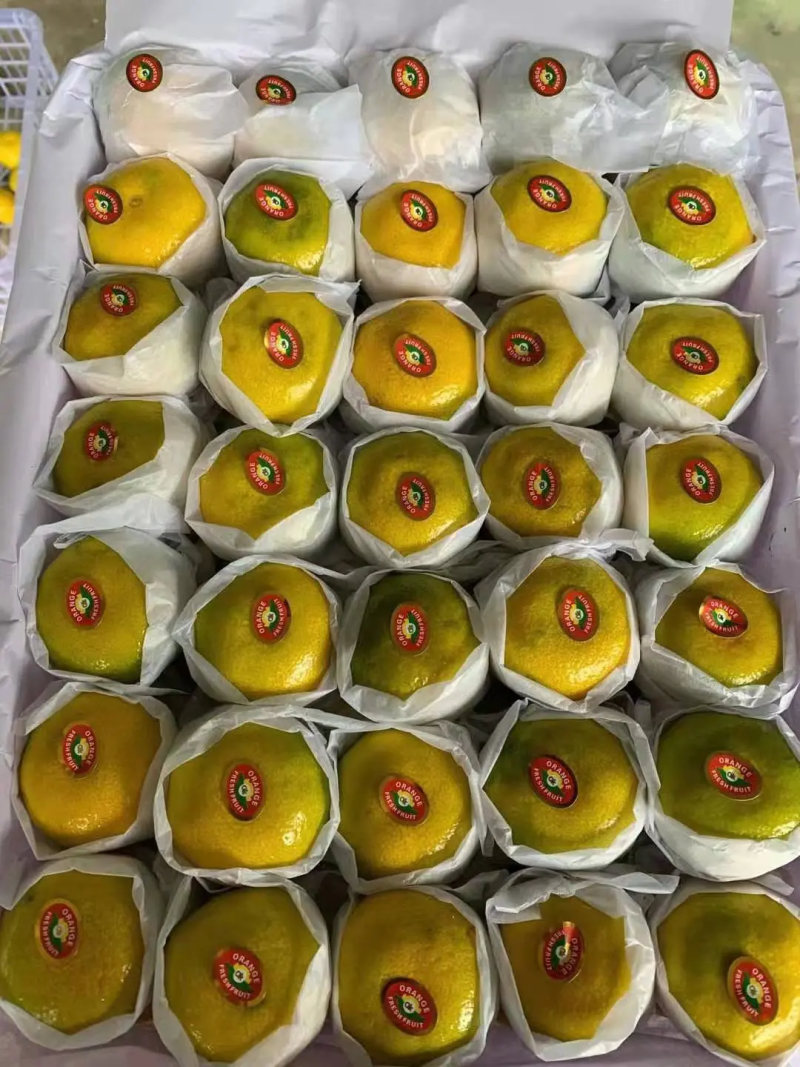 蜜桔甜蜜多汁皮薄化渣，现摘现卖，美味可口，产地直发