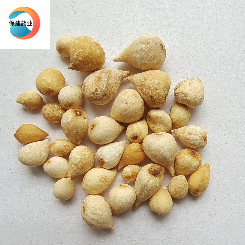 光慈菇光山慈菇山慈菇冰球子正品货好价优产地云南