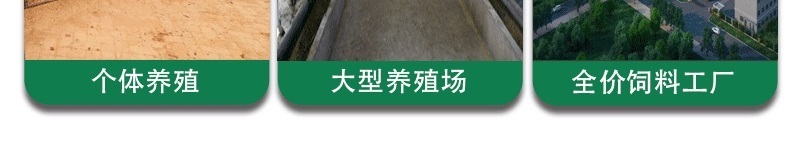 牛预混料小牛犊拉骨架育肥牛催肥增重长得快不过料厂家直销