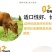 牛预混料小牛犊拉骨架育肥牛催肥增重长得快不过料厂家直销
