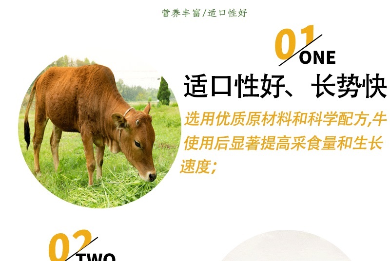 牛预混料小牛犊拉骨架育肥牛催肥增重长得快不过料厂家直销