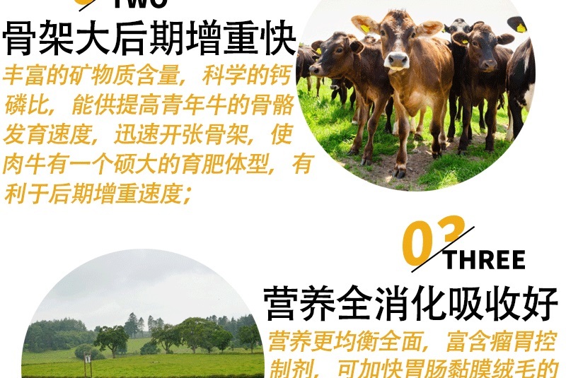 牛预混料小牛犊拉骨架育肥牛催肥增重长得快不过料厂家直销