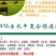 牛预混料小牛犊拉骨架育肥牛催肥增重长得快不过料厂家直销