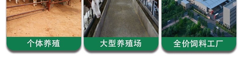 牛预混料小牛犊拉骨架育肥牛催肥增重长得快不过料厂家直销