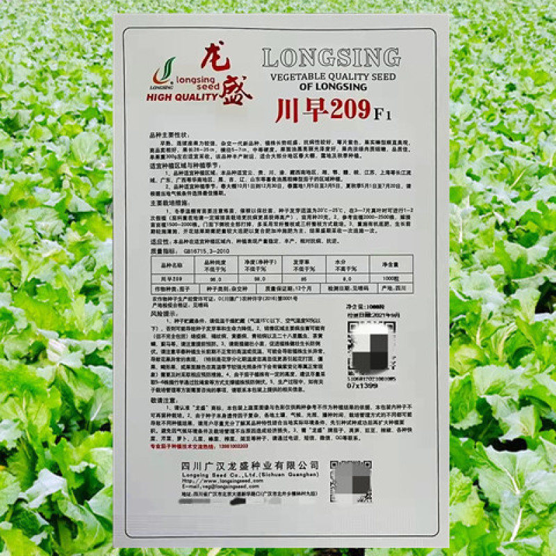 紫茄种子龙盛川早209早熟高产抗病耐热湿耐低温弱光杂交茄