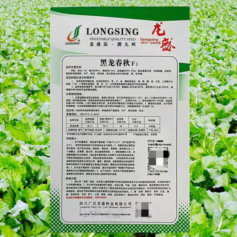 紫茄种子龙盛黑龙春秋墨茄早熟高产抗病耐热湿低温弱光杂交茄