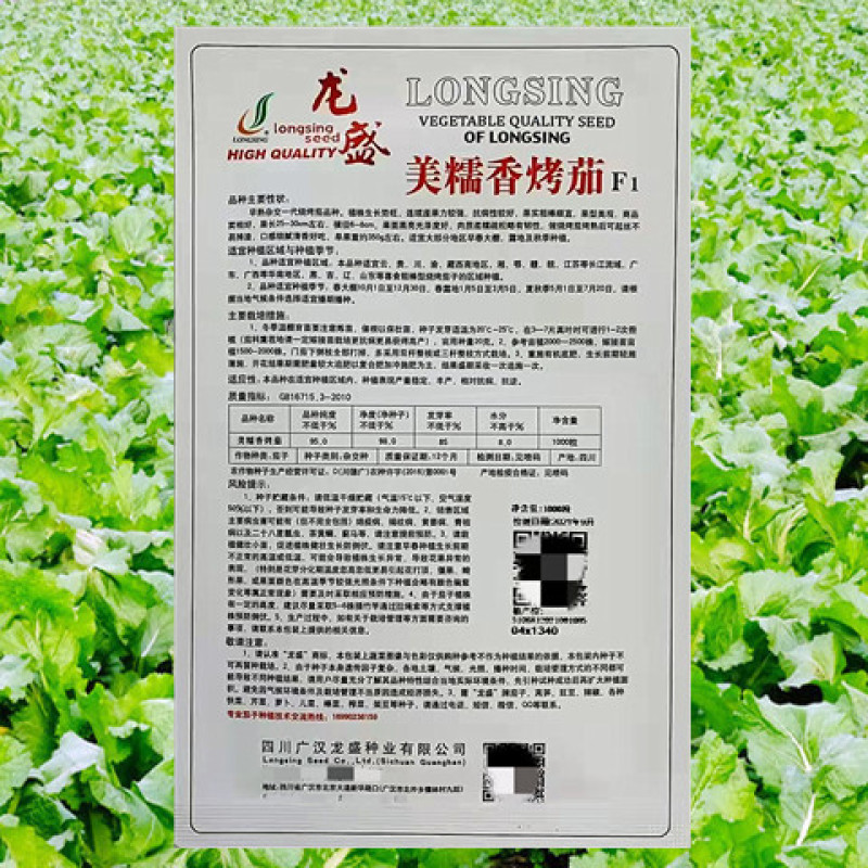紫茄种子龙盛美糯香烤茄早熟高产抗病耐热湿低温弱光杂交茄子