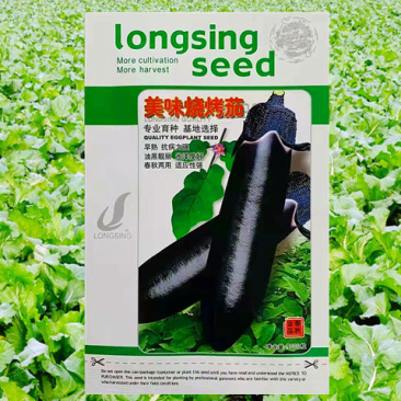 紫茄种子龙盛美味烧烤茄早熟高产抗病耐热湿低温弱光杂交茄子