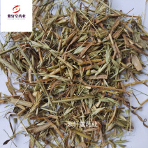 瞿麦瞿麦统货地道药材产地山东省紫轩堂药业