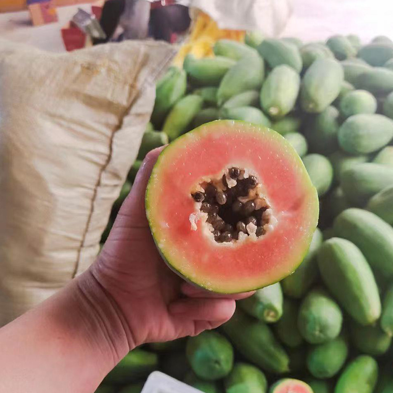 广西冰糖红心木瓜大果新鲜应季孕妇水果牛奶青皮木瓜一件代发