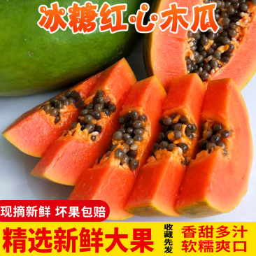广西冰糖红心木瓜大果新鲜应季孕妇水果牛奶青皮木瓜一件代发
