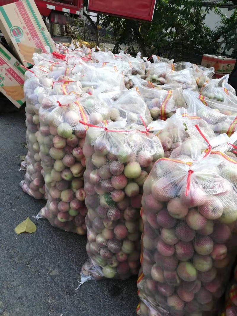 代办山东冬桃平邑牙变桃脆甜多汁量大上市中一手货源