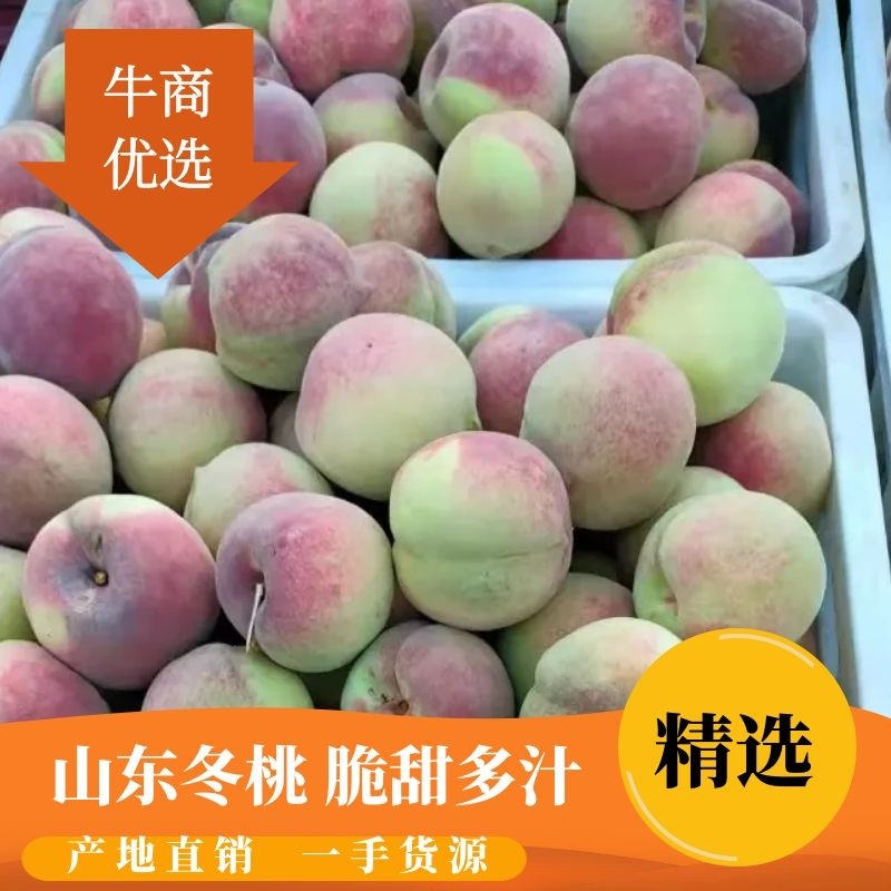 代办山东冬桃平邑牙变桃脆甜多汁量大上市中一手货源