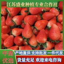 奶油草莓，宁玉妙香，量大质优，专业对接电商平台社区团购