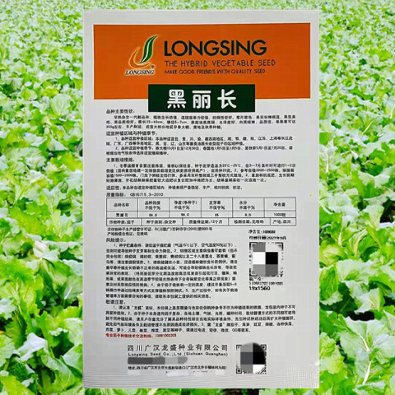 紫茄种子龙盛黑丽长茄早熟高产抗病耐热湿低温弱光杂交茄