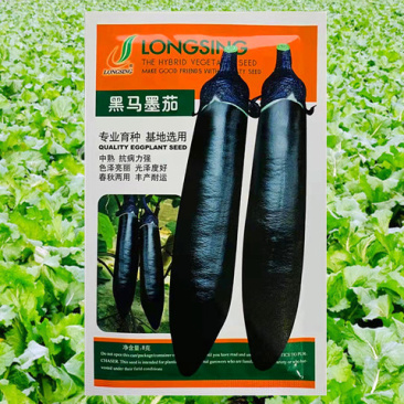 紫茄种子龙盛黑马墨茄早熟高产抗病耐热湿低温弱光杂交茄