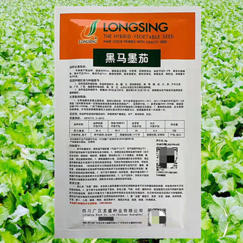 紫茄种子龙盛黑马墨茄早熟高产抗病耐热湿低温弱光杂交茄