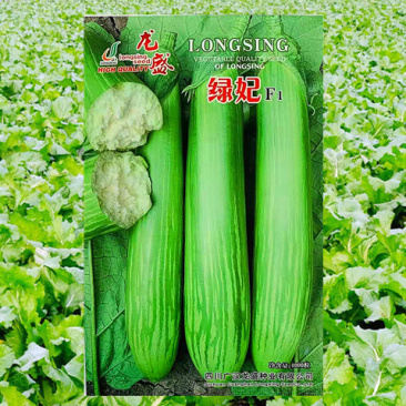 绿茄种子龙盛绿妃绿茄早熟高产抗病耐热湿低温弱光杂交茄