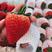 丹东久久草莓产地直发，2斤起一件代发招代理。