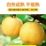 馆陶县金磊果品站大量供应各种规格晚秋黄梨.