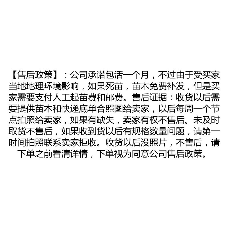 冬枣树苗基地直发现挖现发保证品种保成活