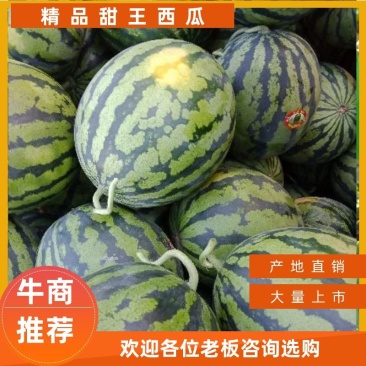 山东昌乐尧沟春秋季大棚甜王西瓜诚信代办～全国发货