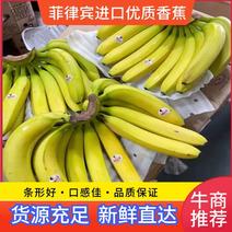 香蕉特价二黄、价格实惠，可发全国，欢迎选购