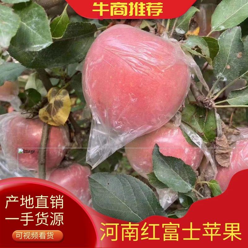【推荐】红富士苹果个大口感脆甜膜袋一手货源品质保证