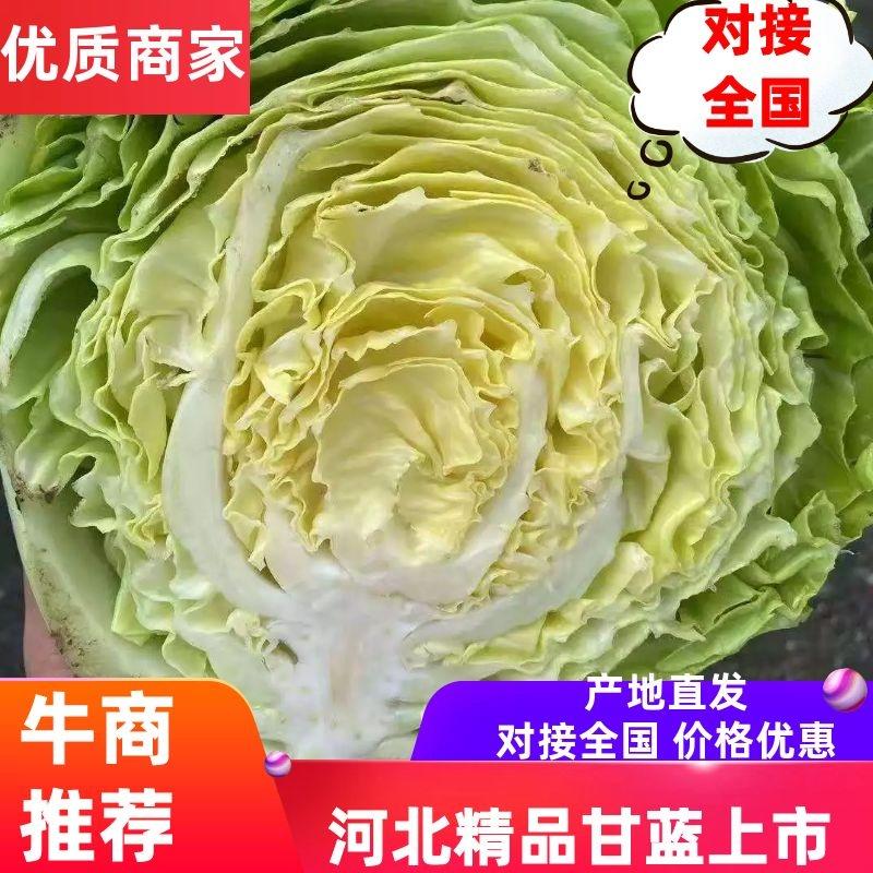 甘蓝，菜宣，个头均匀，质量好，有需要的可以联系我