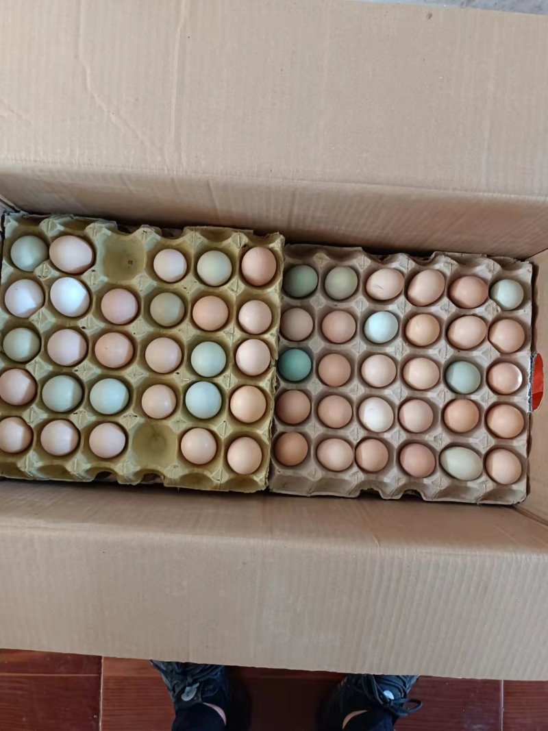 湖北精品散养土鸡蛋/量大价优/鸡场供货/破损包赔
