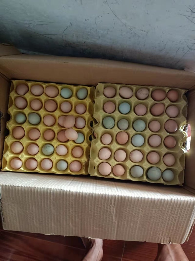 湖北精品散养土鸡蛋/量大价优/鸡场供货/破损包赔