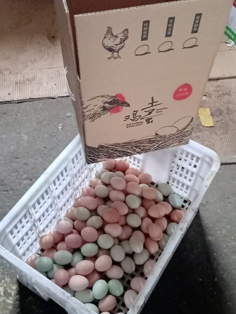 生态散养土鸡蛋/粉绿混装/鸡场供货/破损包赔/诚信经营！