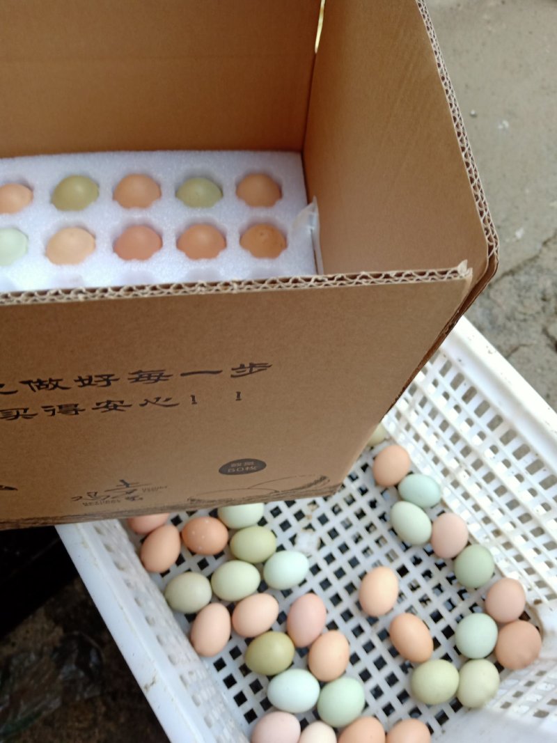 生态散养土鸡蛋/粉绿混装/鸡场供货/破损包赔/诚信经营！