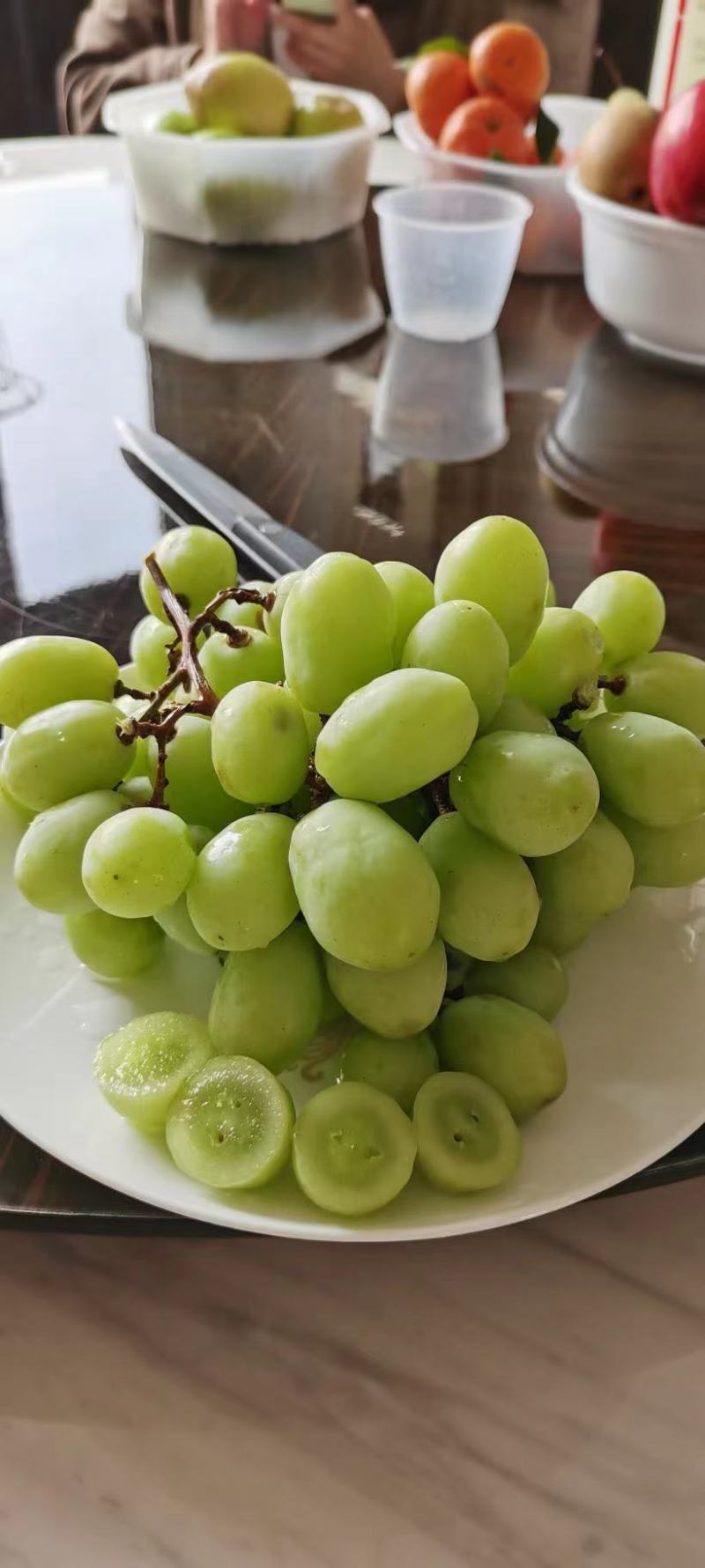 新品种葡萄苗玉隆玫瑰一号葡萄苗嫁接苗自然无核葡萄苗