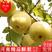 【优选】安徽砀山酥梨品质上乘保质保量代发全国