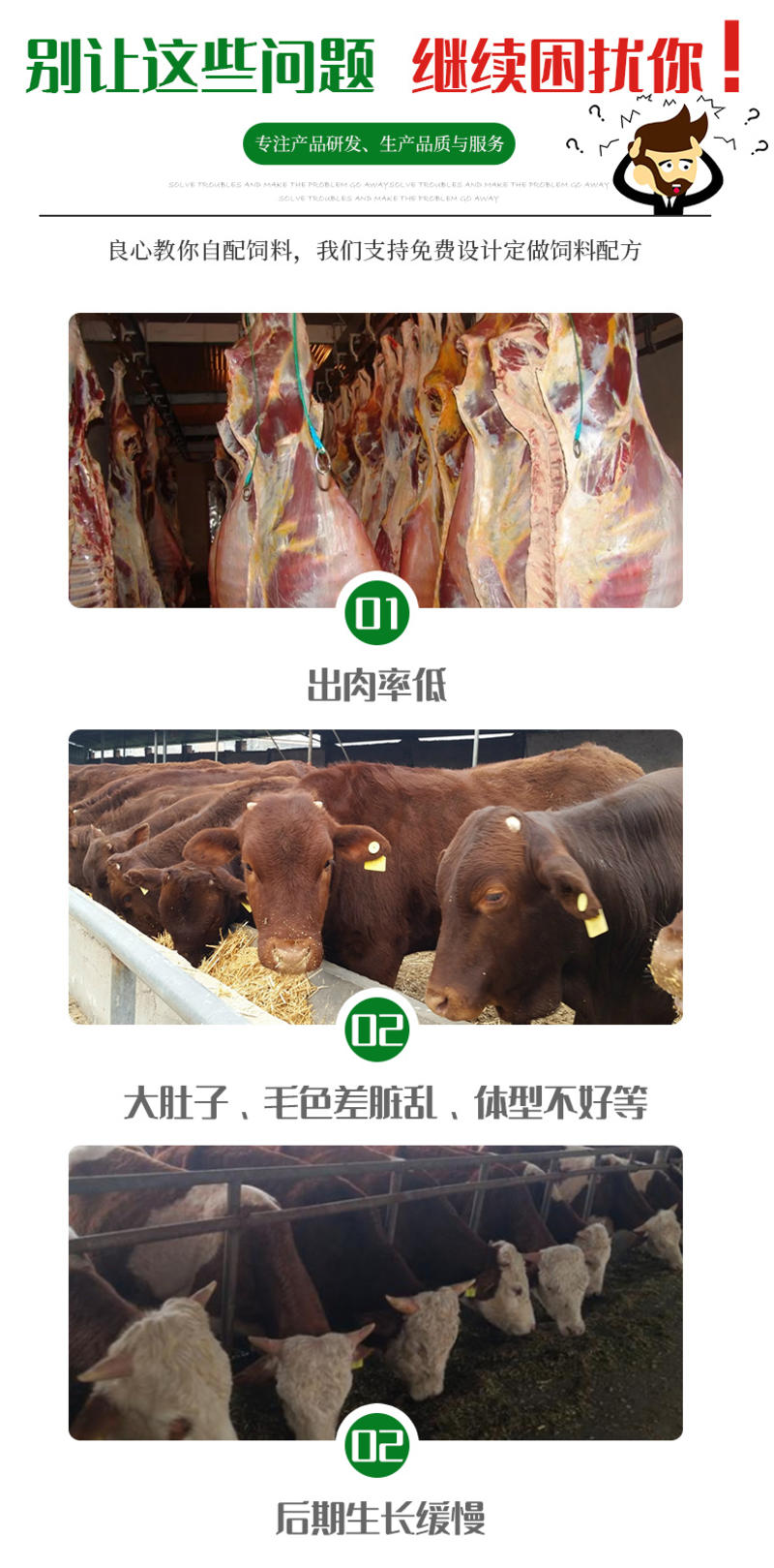 强化育肥肉牛预混饲料牛饲料厂家直供量大从优
