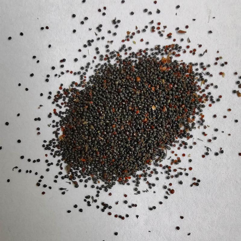 三色堇种子角堇食用花堇猫脸花籽混合色花装饰蔬菜种孑