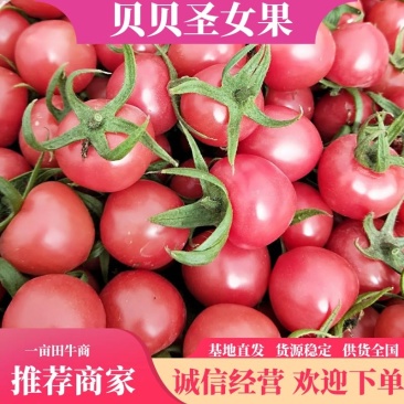 精选山东精品贝贝大量上市，一手货源，质量上成，可视频看货。