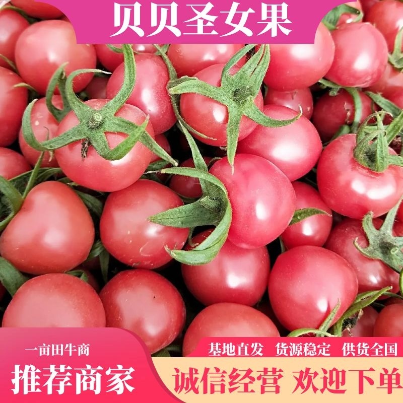 精选山东精品贝贝大量上市，一手货源，质量上成，可视频看货。