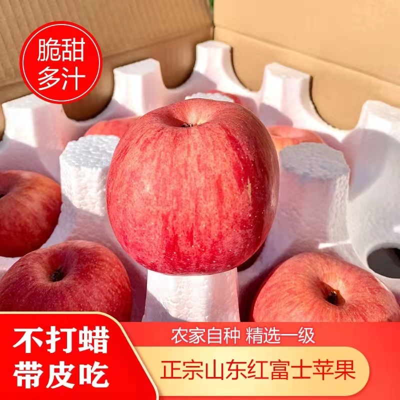 山东精品【红富士苹果】纸袋膜袋大量供应一手货源产地直销