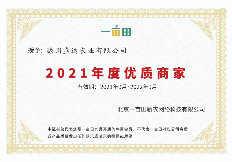 山东滕州秋季荷兰十五脱毒，二级黄皮黄心的一级土豆种子