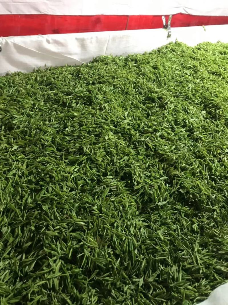 绿茶黄山毛峰，自家茶园、无中间商价格便宜。品质有保证