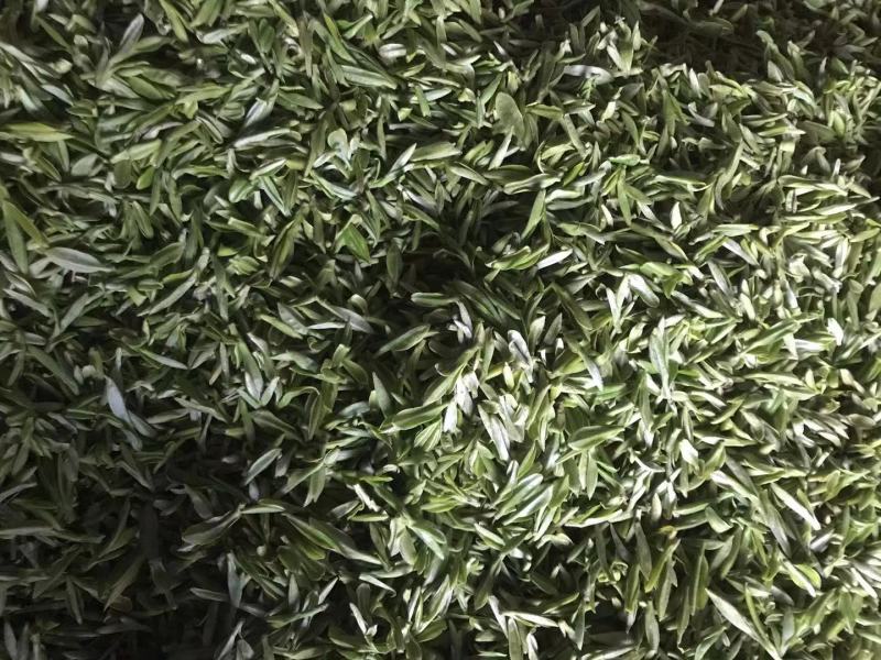 绿茶黄山毛峰，自家茶园、无中间商价格便宜。品质有保证