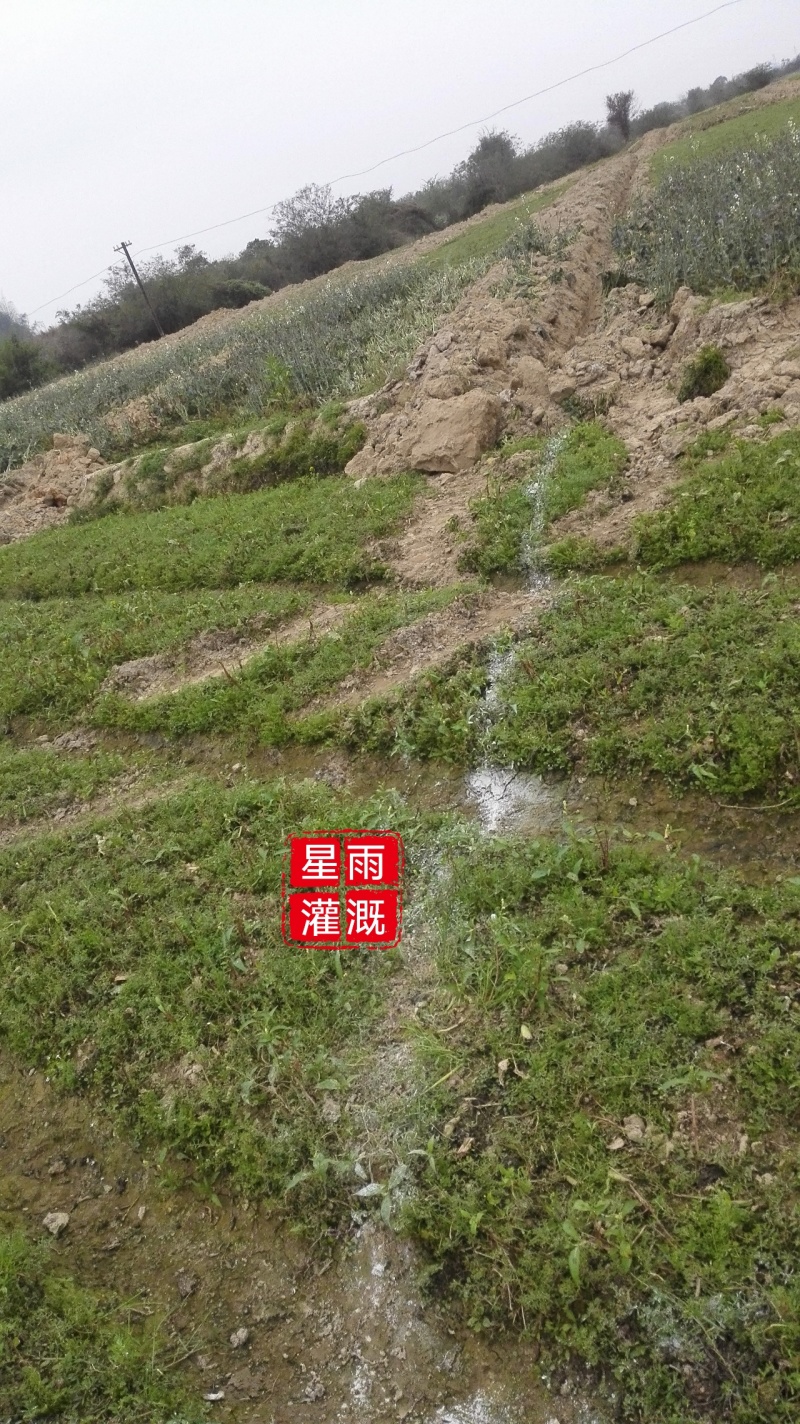 喷灌蔬菜场喷花卉喷灌农田灌溉自动配肥肥水药一体化设计指导
